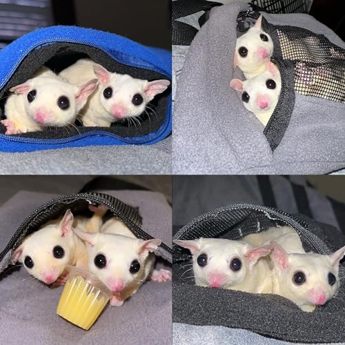 2 Pack Carry Pouch for Small Animals (2 Pack (Black))