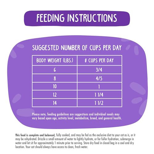 Cat Freeze Dried (1 Ounce (Pack of 1))