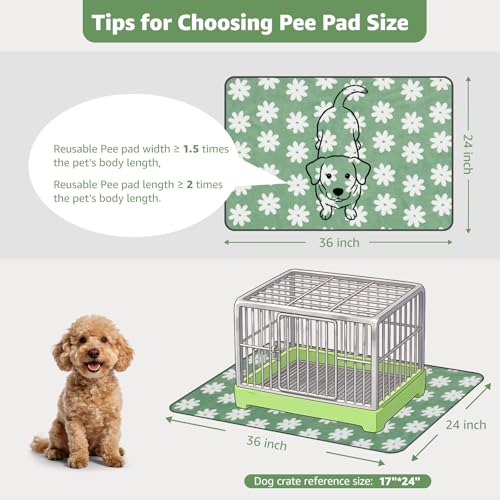 Washable Puppy Pads (Green Daisy / 36"x24"(Pack of 2))
