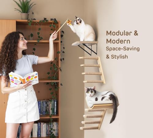 Cat Wall Shelf with Curved Hammock Bed (1 Curved Bed (Foam Mat) / Normal)