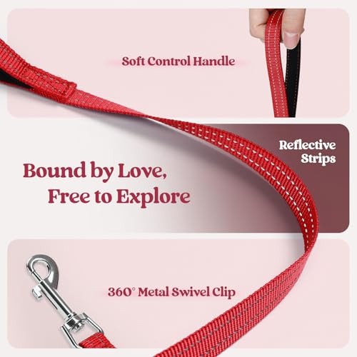 Dog Harness Medium Sized and Leash Set (Red Check / M (chest: 16 - 18.5"))
