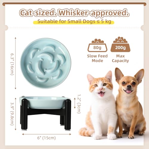 Elevated Ceramic Slow Feeder Cat Bowl (Blue Raised (Metal) / 3.9"H Raised (Metal))