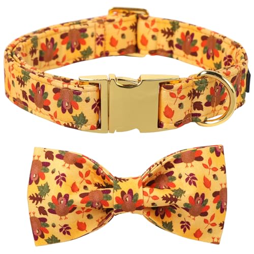 Thanksgiving Day Dog Collar with Bowtie (Large (Pack of 1) / A:4 Color Plume Turkey)