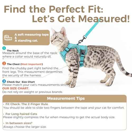 Cat Harness and Leash Set (Turquoise / XX-Large)