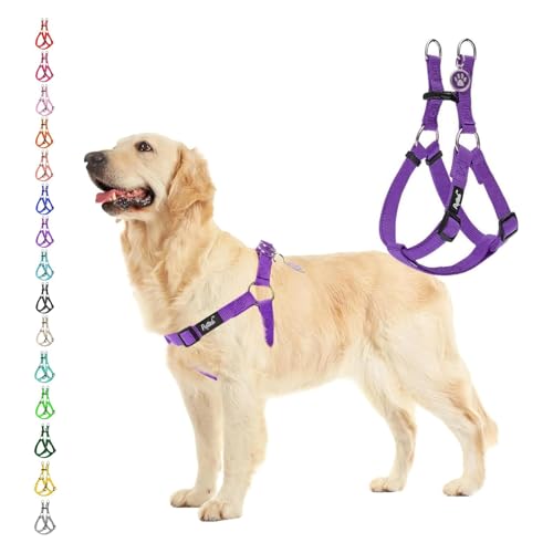 No Pull Dog Harness Large Sized Step (Purple / Large)