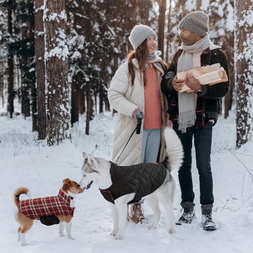Waterproof Dog Coat (Red / Medium (Pack of 1))