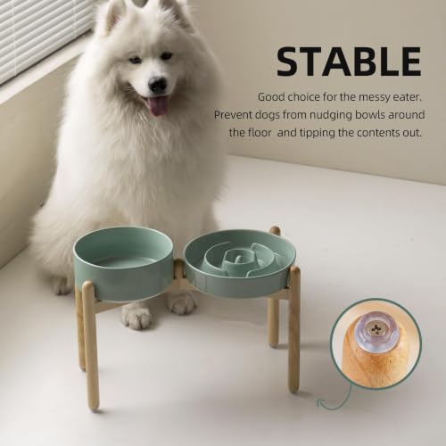 Elevated Slow Feeder Dog Bowls (Light Green)