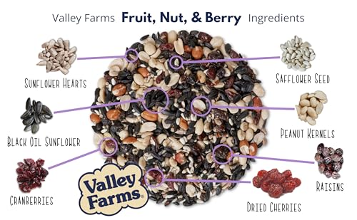 Fruit Nut & Berry 4 LB 2 (4 Pound (Pack of 2))