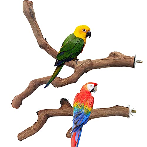 4 PCS Natural Wood Bird Perch Stand