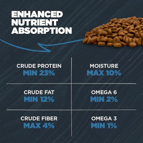 Sensitive Premium Dry Dog Food (Catfish Meal with Ancient Grains / 10 Pound (Pack of 1))