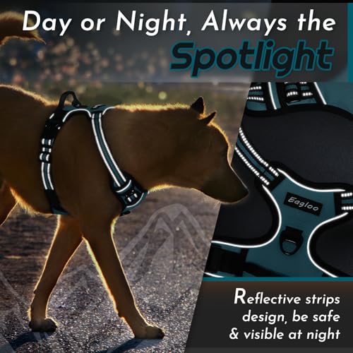 Dog Harness for Large Dogs (Large / Dark Green)