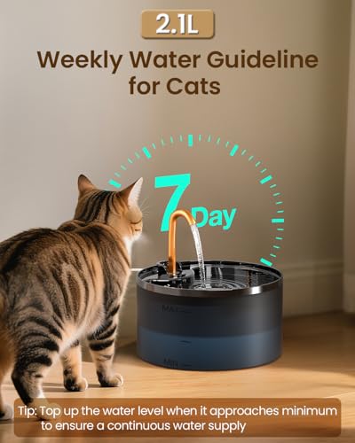 Cat Water Fountain with 6