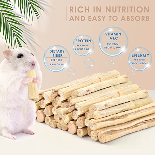 700g 1.5Ib Sweet Bamboo Chew Sticks for Rabbits (1.54 Pound (Pack of 1))