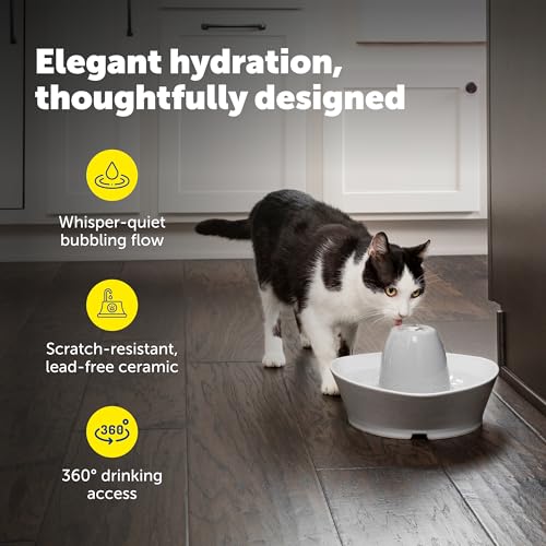 Creekside Ceramic Pet Fountain (Fountain + 4 Carbon Filters)