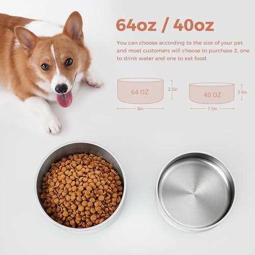 Dog Bowl Stainless Steel Food and Water Bowl (40 oz / White)
