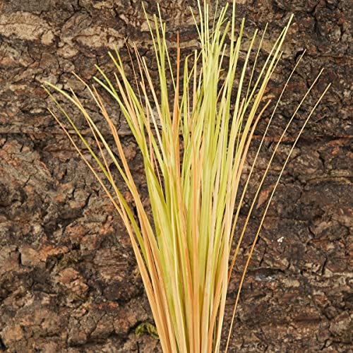 Fake Desert Dry Grass Reptile Plants Bearded Dragon Terrarium Décor (F-fake Desert Dry Grass)