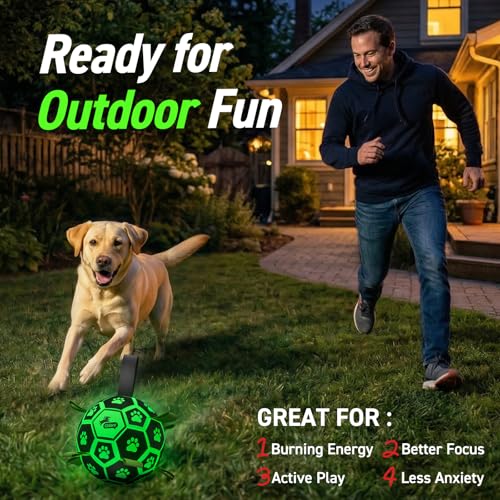 Glow in The Dark Dog Toys Soccer Ball with Straps (Glow in the Dark / 6 Inch)