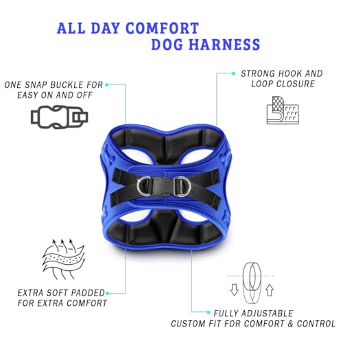 Comfort Fit No Pull Dog Harness (XS (Chest 13"-14.5") / Blue)