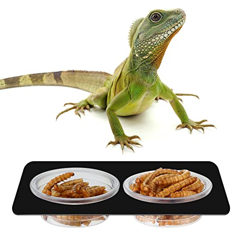 500 Pcs Reptile Food Cups Plastic Feeder Bowls for Gecko (0.5oz)