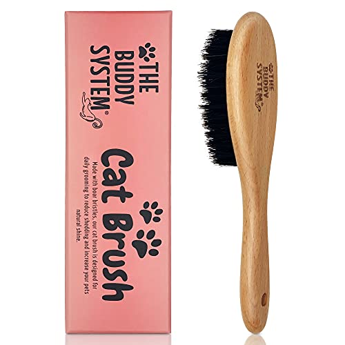 Soft Cat Brush with Boar Bristles (1 Count (Pack of 1))