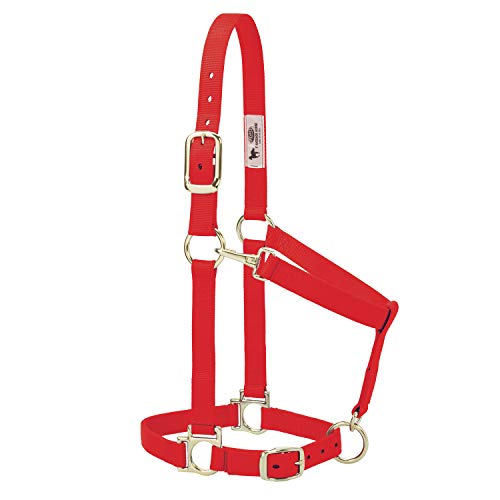 Nylon Horse Halter (Red / 1" Large Horse)