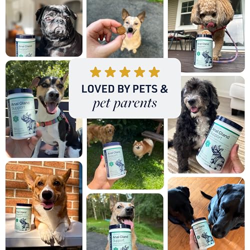 Smart Vitality Anal Gland Soft Chews for Dogs (60 ct / Anal Gland Support)