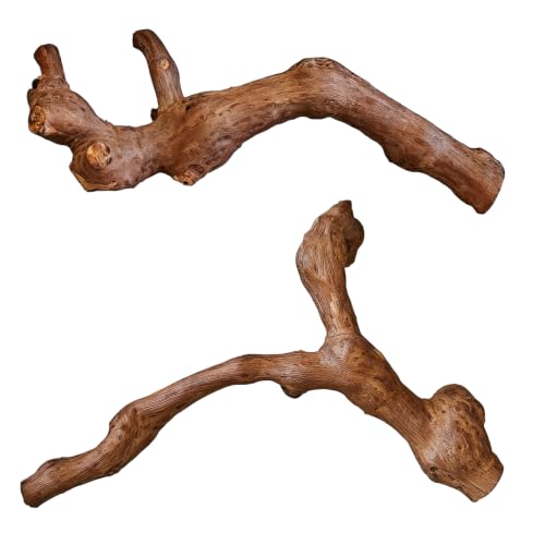 2PCS Reptile Wood Branches Decor (2Pcs 9.8in Grapewood Branches)