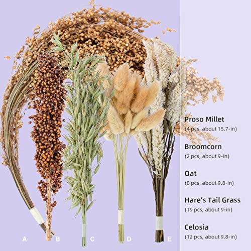 Natural & Soft Hamster Bedding Mate (Natural Poem Version)