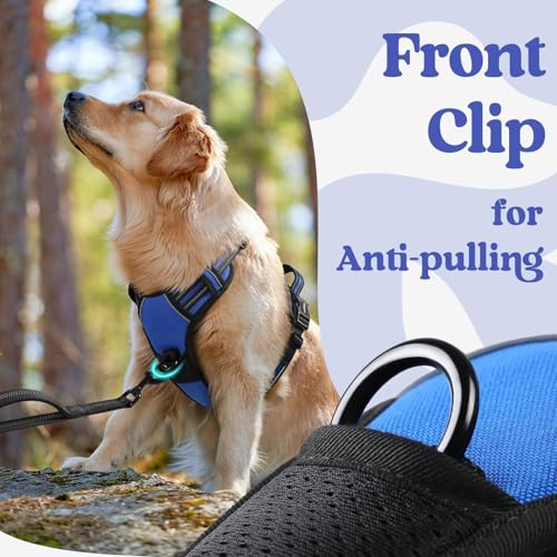 Dog Harness Small Sized (Small / Blue)