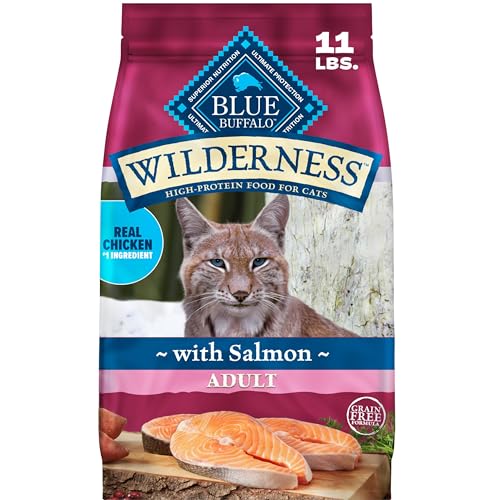 Wilderness Salmon Adult Dry Cat Food (11 Pound (Pack of 1))