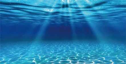 Natural Undersea Aquarium Background (72X24in/180X60cm / Ocean)