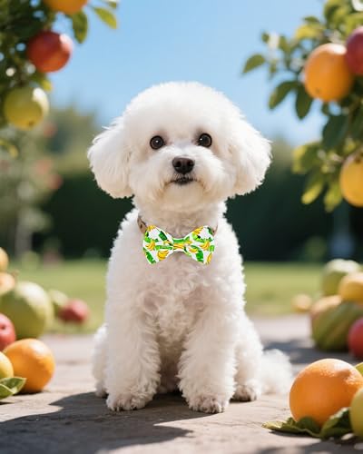 10 Pack Fruit Dog Bowties for Small Dogs Sliding on Collar (S/M)