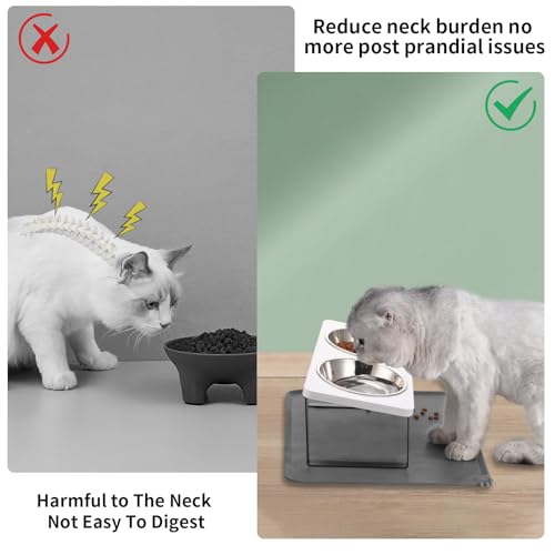 Upgraded Elevated Cat Bowls with Food Mat
