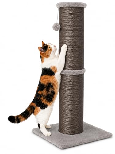 32 Inch Tall Cat Scratching Post (X-Large / Grey)