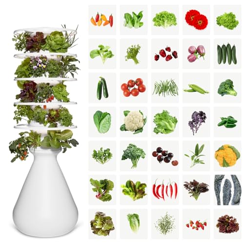 Farmstand Indoor Starter Kit (30 Seedlings / Indoor With Seedlings)
