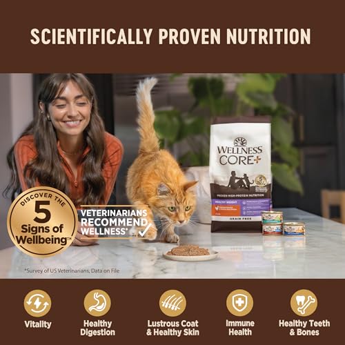 CORE+ Immune Health Pate Adult Wet Cat Food (2.8 Ounce (Pack of 12))