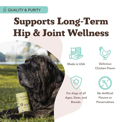 Hip & Joint Chews for Dogs (180 Count / Hip and Joint)