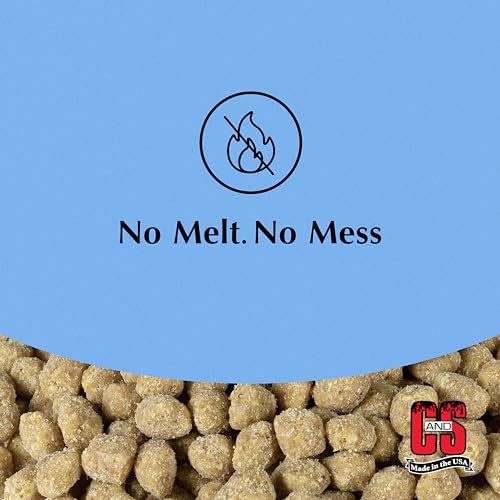 Berry Flavor Suet Nuggets (1.69 Pound (Pack of 1))