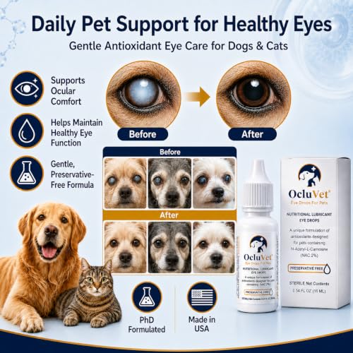 Pet Eye Drops for Dogs & Cats (1 Count (Pack of 1))