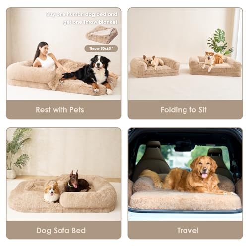Orthopedic Foldable Human Dog Bed (72x44x11(Folded 44x36) / Camel)