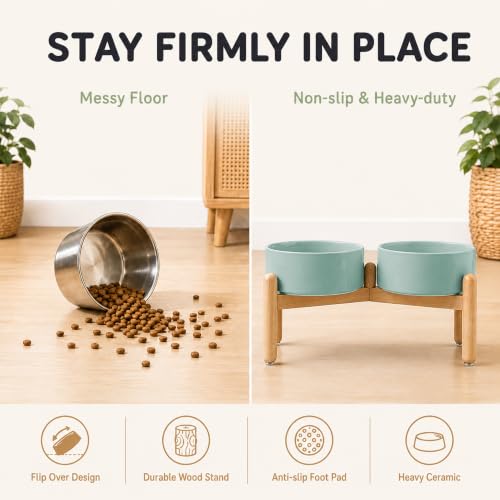 Ceramic Dog Bowls Elevated (Light Green)