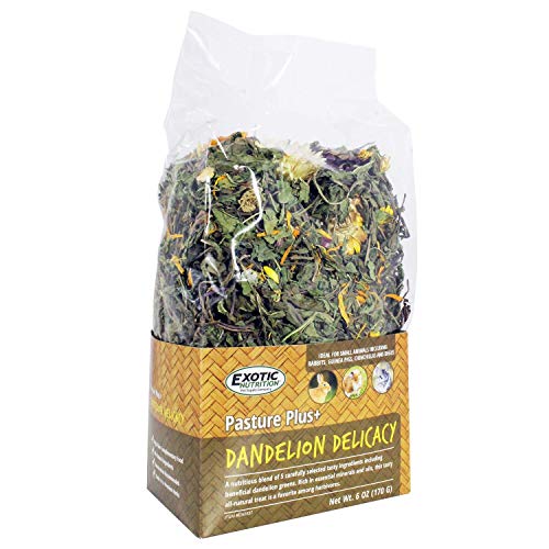Pasture Plus+ Dandelion Delicacy