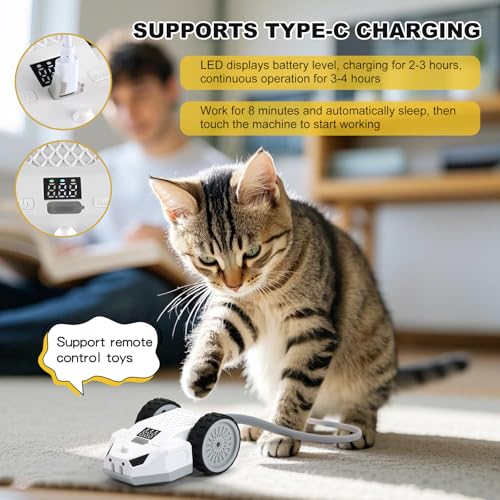 Interactive Cat Toys for Indoor Cats
