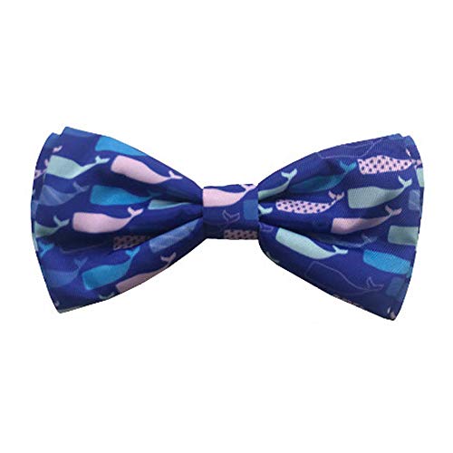 Bow Tie with Whale Design by Huxley & Kent (Large)