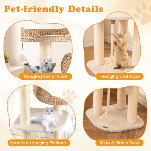 41 Inch Modern Cat Tree for Indoor Cats (41 inches / Beige)