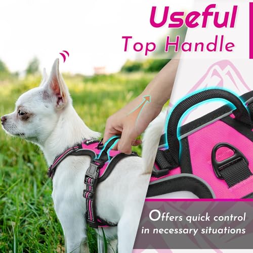 Dog Harness for Small Dogs (X-Small / Rose Red)