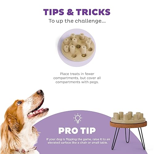 by Nina Ottosson Dog Smart Treat Puzzle Enrichment Toy (Dog Smart Composite (Tan) / One Size)
