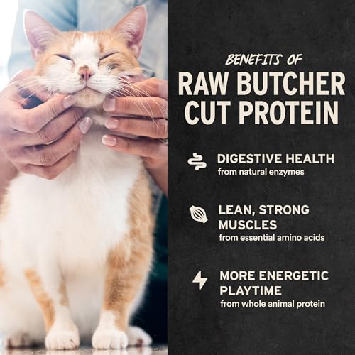 Freeze Dried Cat Treats (3 Ounce (Pack of 1))