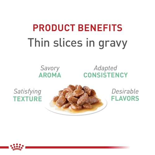 Feline Care Nutrition Digestive Care Adult Thin Slices in Gravy Cat Food (3 Ounce (Pack of 24))
