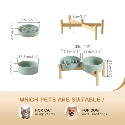 Elevated Slow Feeder Dog Bowls (Light Green)